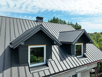 Panel dachowy T20 mikrofala